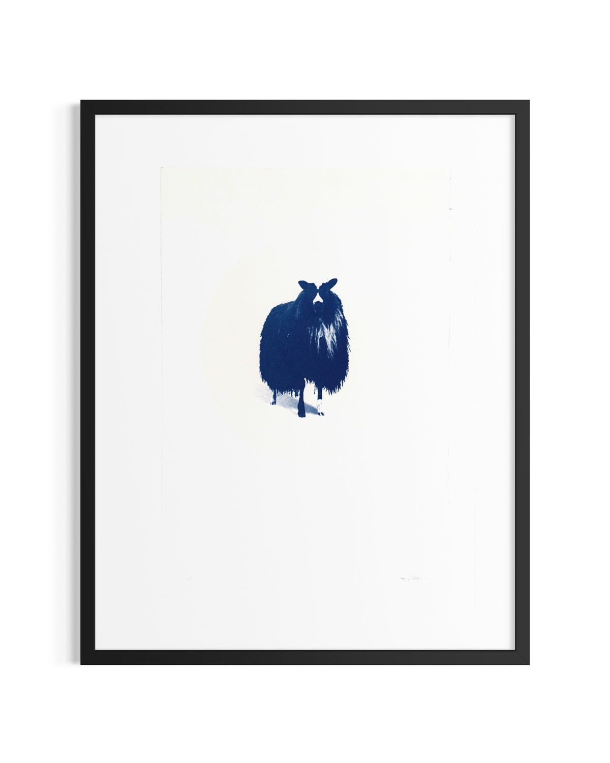 Kind / Sheep — Original Cyanotype.