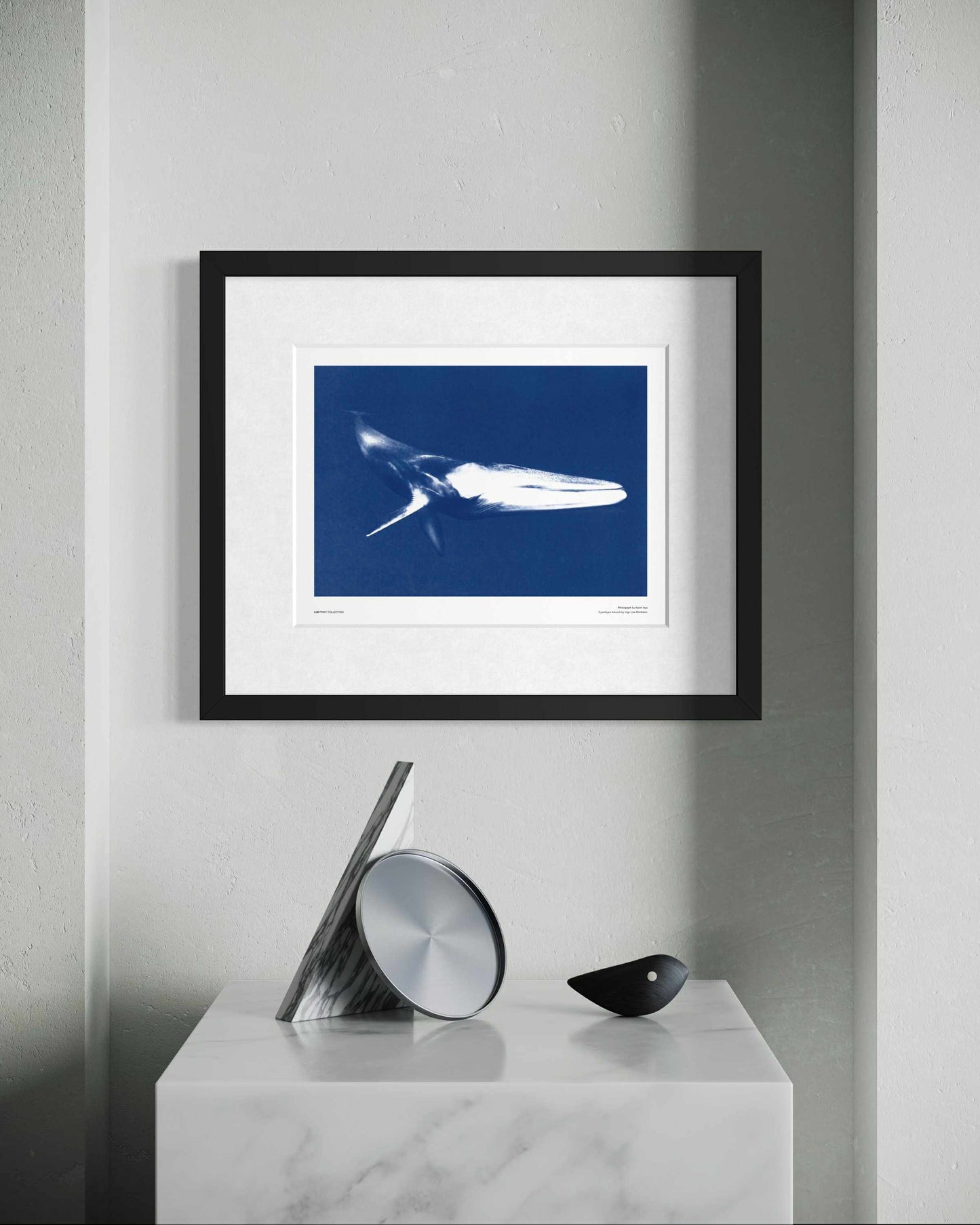 Fin whale - A3 size : 30x40cm / 12x16"