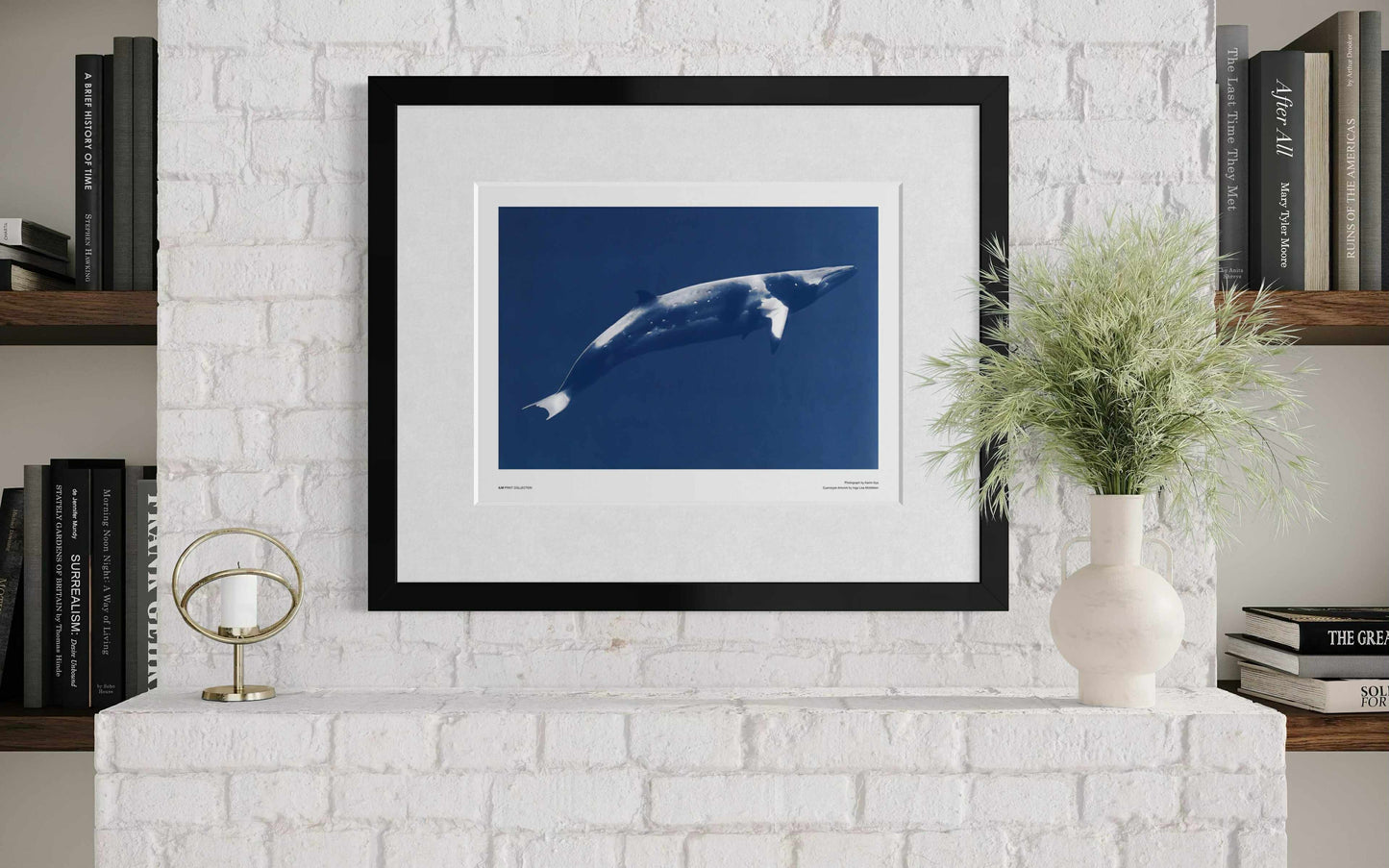 Minke whale - A3 size : 30x40cm / 12x16"