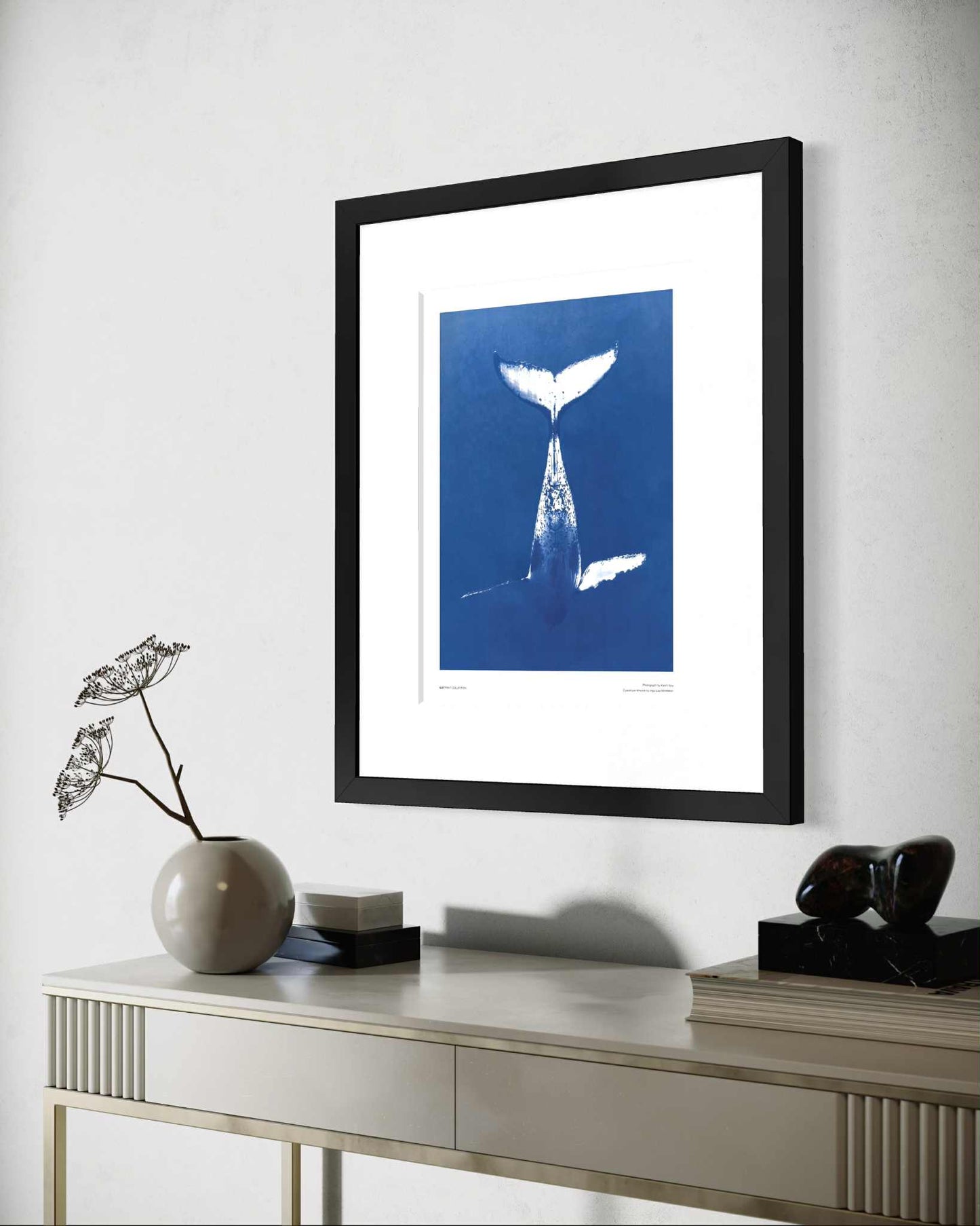 Humpback whale swimming down - A3 size: 30x40cm / 12x16in